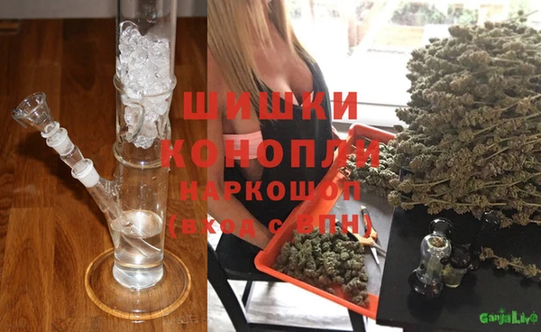 дживик Белокуриха