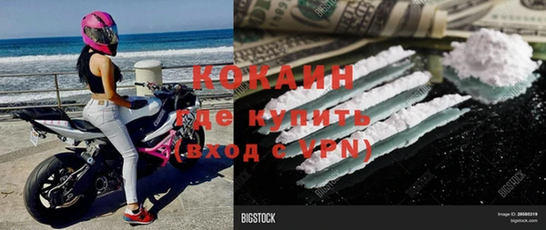 дживик Белокуриха