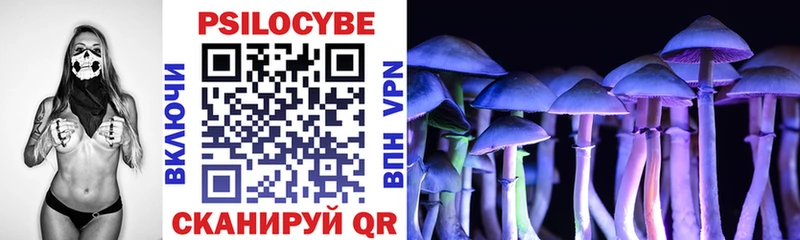 Псилоцибиновые грибы Psilocybe  маркетплейс формула  Кумертау 